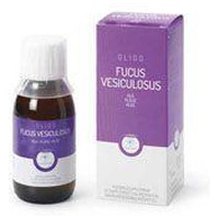 RP OligoPlant Fucus Vesiculosus Alge Tropfen Produktbild