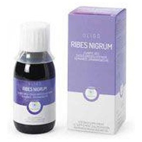 RP OligoPlant Ribes Nigrum Tropfen Produktbild