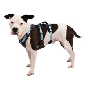 RuffWear Flagline Hundsele Grå/Turkos produkt bild