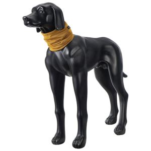 Rukka Cooling Tube Kylscarf till Hund Aprikos (L) produkt bild