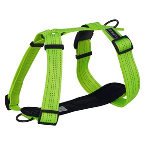 Rukka® Form Neon Geschirr, gelb Produktbild