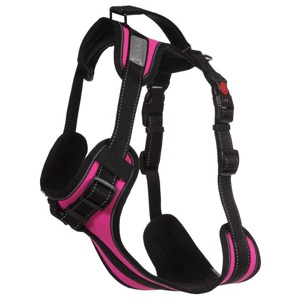 Rukka Geschirr Solid, fuchsia Produktbild