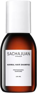Normal Shampoo 100 ml produkt bild