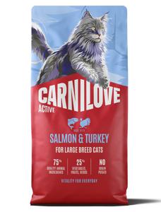 Salmon & Turkey Large Breed Adult Torrfoder för Katt - 6 kg produkt bild