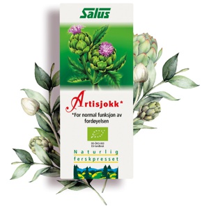 Salus Artiskoksaft Schönenberger Ø 200 ml produktbillede