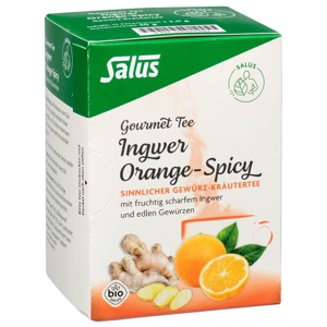 INGWER ORANGE Spicy Tee Salus Filterbeutel Produktbild