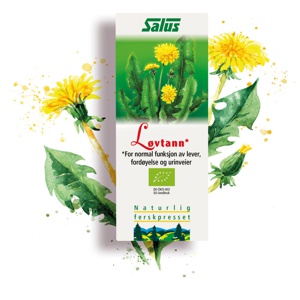 Salus Mælkebøtte Schönenberger Ø 200 ml produktbillede