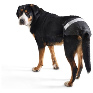 Savic Comfort Nappy Hundblöja 12 st produkt bild
