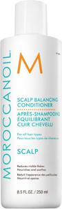 Scalp Balancing Conditioner 250 ml produkt bild