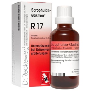 SCROPHULAE-Gastreu R17 Mischung Produktbild