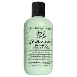 Seaweed Shampoo 250 ml produkt bild