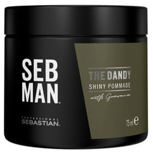 Sebastian Professional Seb Man The Dandy Light Hold Pomade 75 ml produkt bild
