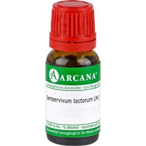SEMPERVIVUM tectorum LM 1 Dilution Produktbild