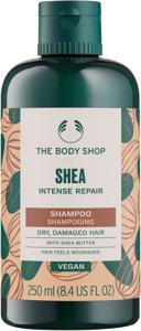 Shea Intense Repair Shampoo 400 ml produkt bild