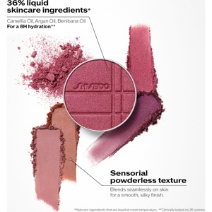 Shiseido Color And Glow Enhancer produktbillede