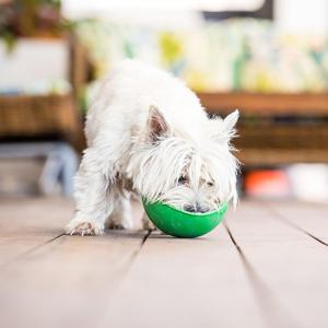 Lickimat Dog Wobble 17x17 cm Grön produkt bild