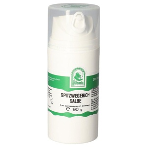Spitzwegerich Salbe Produktbild