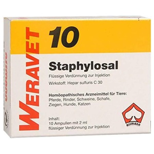STAPHYLOSAL 10 Ampullen vet. Produktbild