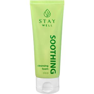 Soothing Cleansing Foam Cica & Heartleaf produkt bild