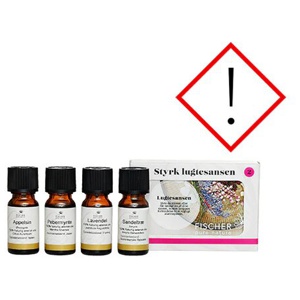 Styrk Lugtesansen Kit 2, 4 X10 Ml Æteriske Olier Appelsin Ø, Pebermynte, Lavendel, Sandeltræ produktbillede