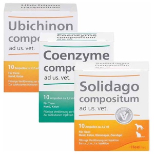 Suc Kombination, 3x10 St Kombipackung Produktbild