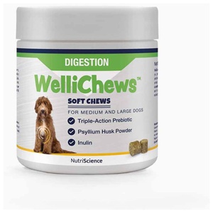Swedencare Wellichews Digestion Medium/Large 60 st produkt bild