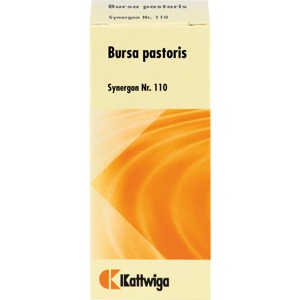SYNERGON KOMPLEX 110 Bursa pastoris Tropfen Produktbild