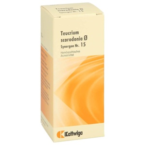 SYNERGON KOMPLEX 15 Teucrium Urtinktur Produktbild