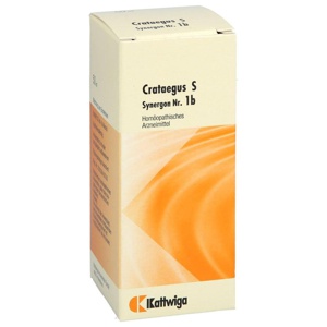 SYNERGON KOMPLEX 1b Crataegus S Tropfen Produktbild
