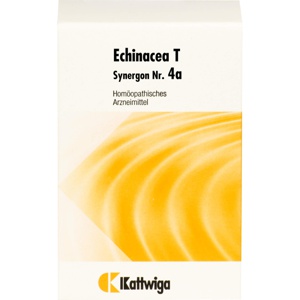 SYNERGON KOMPLEX 4a Echinacea T Tabletten Produktbild