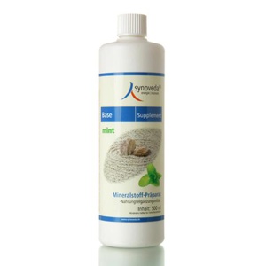 SYNOVEDA-Base-Supplement-Mint-Gel Produktbild