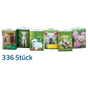 TASCHENTÜCHER Pocket Tierkinder Produktbild