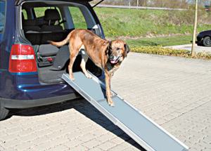 PetSafe teleskop-hundramp - ca L 100 - 180 x B 43 cm produkt bild