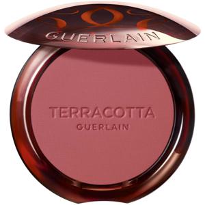 Terra Healthy Glow Powder Blush produkt bild