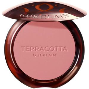 Terra Healthy Glow Powder Blush produkt bild