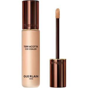 Terra Concealer Natural Perfection produkt bild