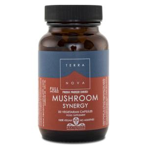 Terranova Mushroom Synergy 50 kaps produkt bild