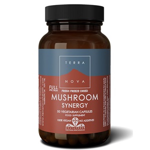 Terranova Mushroom Synergy 50 kapsler produktbillede