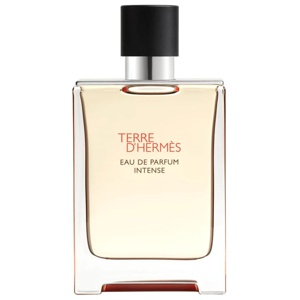 Terre D'Hermès EdP Intense 100 ml produkt bild