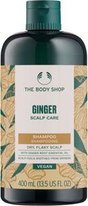 Ginger Anti-Dandruff Shampoo 400 ml produkt bild