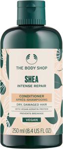 The Body Shop Shea Intense Repair Conditioner 250 ml produkt bild