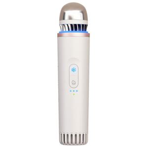 TheraBody TheraFace Depuffing Wand White produkt bild