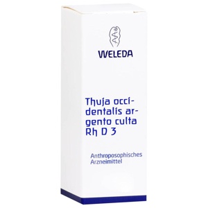 THUJA OCCIDENTALIS ARGENTO culta Rh D 3 Dilution Produktbild