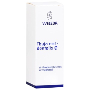THUJA OCCIDENTALIS Urtinktur Produktbild