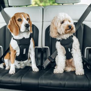 Thule Bilsele Hund Svart produkt bild
