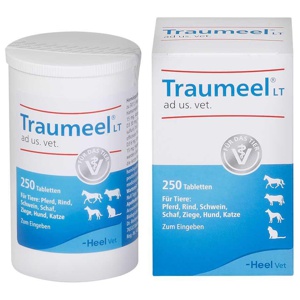 TRAUMEEL LT ad us.vet.Tabletten Produktbild