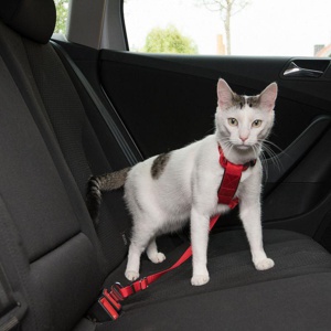 Trixie Auto-Geschirr für Katzen Produktbild