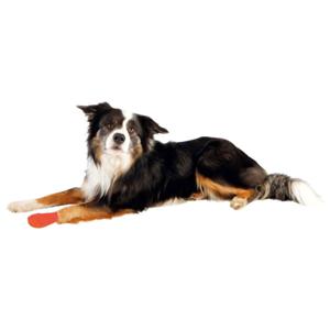 Trixie Bandage med Bitter Smak produkt bild