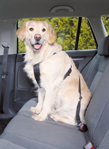 Trixie Bilsele till hund (M) produkt bild