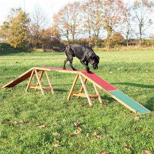 Trixie Dog Activity Agility Steg Produktbild